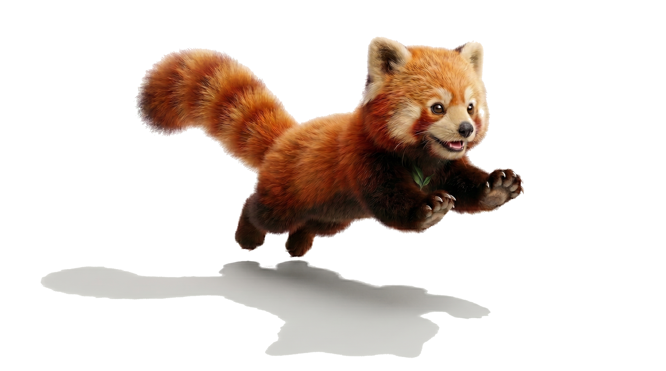 Rou – Ecoveras roter Panda